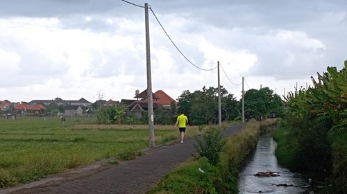 Obyek wisata jogging track di Subak Intaran Barat, Desa Sanur Kauh, Kota Denpasar.