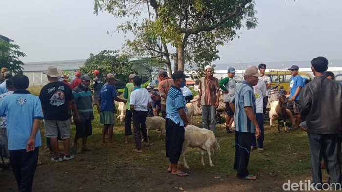 Para pedagang berjualan di pinggir jalan Pasar Hewan Plembon Klaten yang ditutup. Foto diambil Senin (13/6/2022).