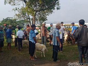 Pasar Ditutup, Pedagang Kambing Klaten Nekat Jualan di Tepi Jalan