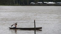 Dilansir The Associated Press (AP), Senin (13/6/2022), tas punggung itu ditemukan terikat di satu pohon yang setengah batangnya berada di dalam air. 
