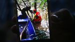Barang Milik Jurnalis yang Hilang di Amazon Ditemukan, Ini Fotonya