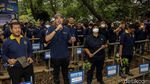 Menteri LHK Tanam Pohon Mangrove Bareng Partai NasDem
