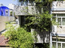 8 Potret Rumah Bambu di Gang Sempit, Ada Kolam Renang di Rooftop