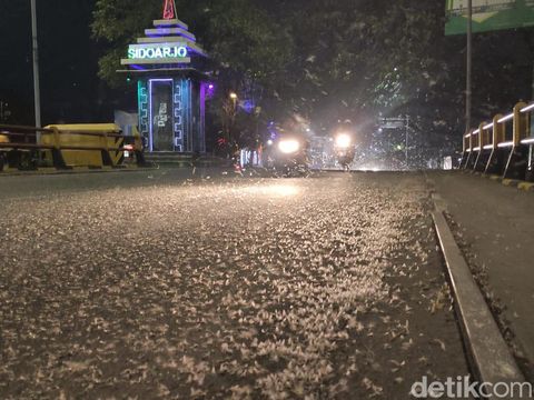 Teror jutaan laron di Jembatan Kali Porong