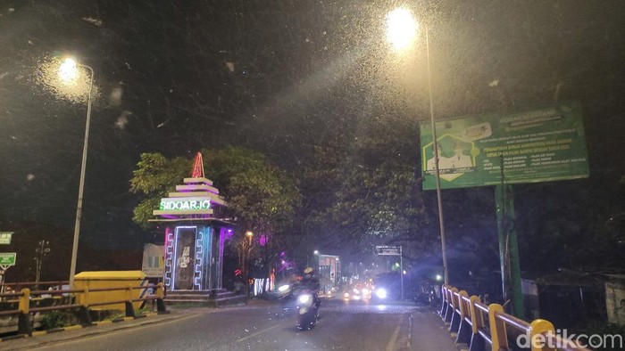 Teror jutaan laron di Jembatan Kali Porong