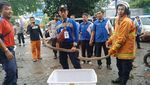 Hiii! Foto 4 Teror King Cobra di Tempat Tak Terduga