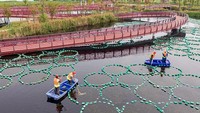 Upaya jangka panjang ini dilakukan untuk menjernihkan kualitas air sungai.  