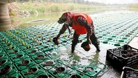 Dalam beberapa tahun terakhir, kota-kota di Provinsi Jiangsu telah melakukan upaya besar untuk pengendalian lingkungan air.  Otoritas setempat mencoba menekankan pengendalian polusi dan restorasi ekologi.  