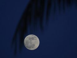 Memukau! Supermoon Stroberi di Langit Rusia-Amerika Serikat