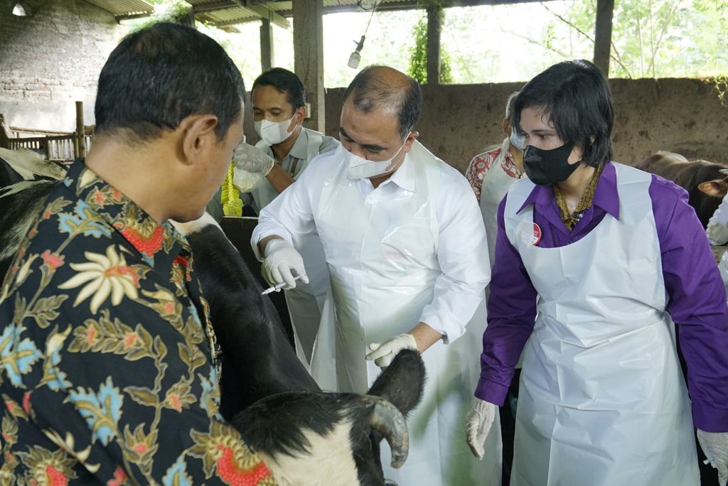 Dirjen PKH Kementan Nasrullah melakukan penyuntikan perdana Vaksinasi wabah PMK di peternakan sapi perah Dusun Tanjunganom, Desa Tanjungsari, Kecamatan Taman Sidoarjo di Kabupaten Sidoarjo. (Dok. Kementan)