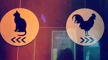 Kucing tampaknya melambangkan wanita, ayam untuk pria. Foto: Brightside