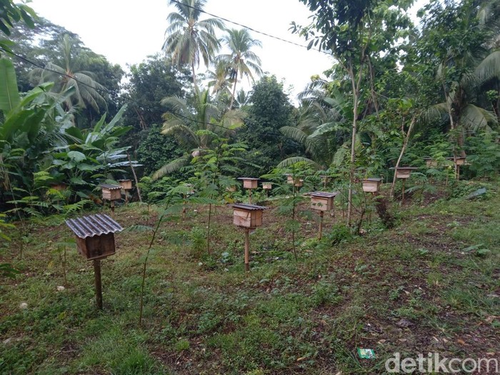 Kampung Madu Pangandaran.