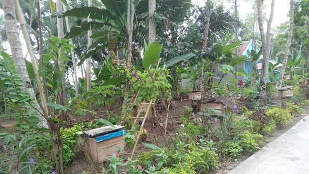 Kampung Madu Pangandaran.
