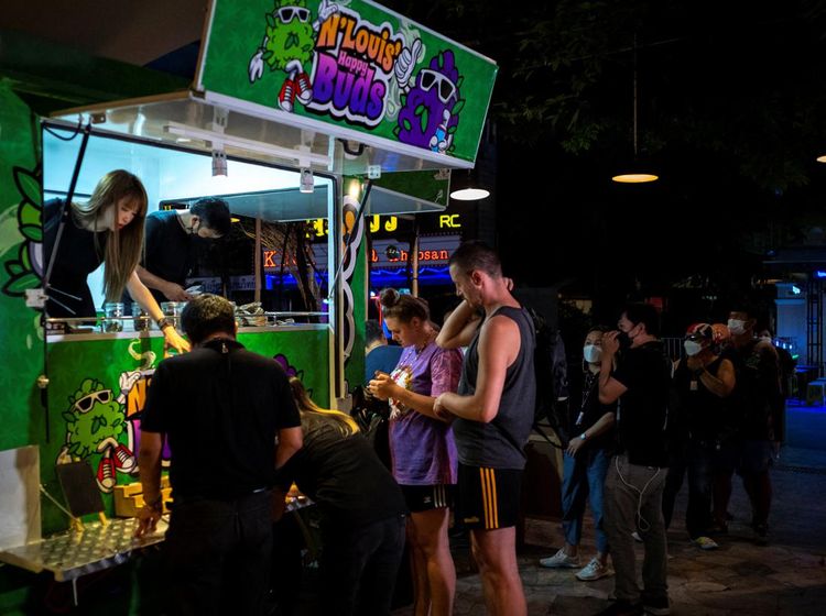 Baru! Turis Ramai-ramai Belanja Ganja di Thailand Setelah Dilegalkan