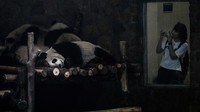 Sesuai namanya, tempat ini bukan kebun binatang. Memang, para pengunjung bisa menonton tingkah polah para panda yang dilepas di kandang terbuka dan hanya dibatasi pagar seperti di kebun binatang. 