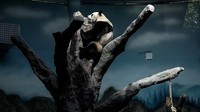 Tapi tujuan utama pembangunan tempat ini untuk melindungi panda yang terancam punah dan membantu pengembangbiakan serta melakukan berbagai riset.