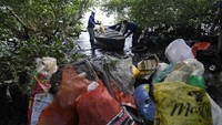 Kondisi hutan mangrove di Teluk Guanabara yang berada di kawasan Rio de Janeiro, Brasil, tampak memprihatinkan. Sampah terlihat menumpuk di area tersebut. 