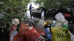 Miris! Hutan Mangrove di Brasil Jadi Tempat Pembuangan Sofa-TV