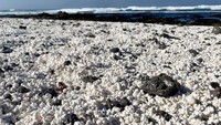 Tak seperti panntai pada umumnya, Popcorn Beach atau Playa del Najo de la bura memiliki ‘pasir’ yang menyerupai popcorn kembung. (iStock)