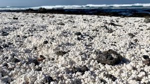 Foto: Ada Pantai Popcorn di Spanyol
