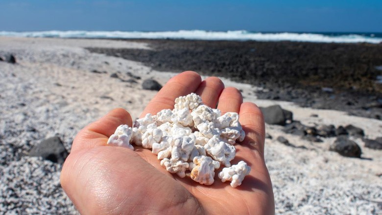 Pantai Popcorn