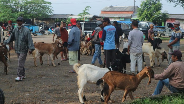 Pasar Hewan di Kabupaten Blitar