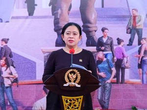Puan Minta Pemerintah Segera Tetapkan Status KLB Gagal Ginjal Akut