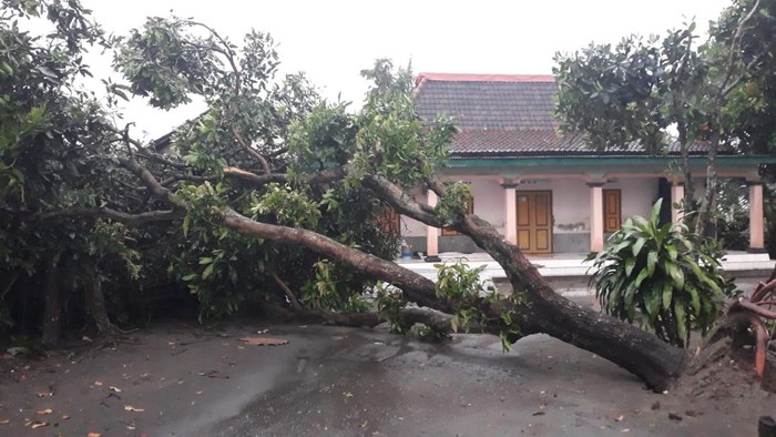 puting beliung di blitar merusak rumah-kandang milik warga