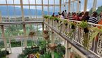 Viral! Rumah Kaca Instagramable nan Apik di Bali