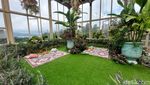 Viral! Rumah Kaca Instagramable nan Apik di Bali