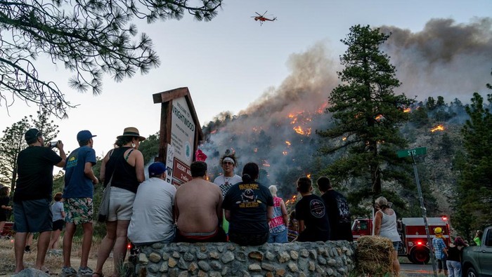 Saat Kebakaran Hutan di California Jadi Tontonan Warga Residents watch part of the Sheep Fire wildfire burn through a forest on a hillside near their homes in Wrightwood, California, U.S. June 11, 2022. Picture taken June 11, 2022. REUTERS/Kyle Grillot TPX IMAGES OF THE DAY