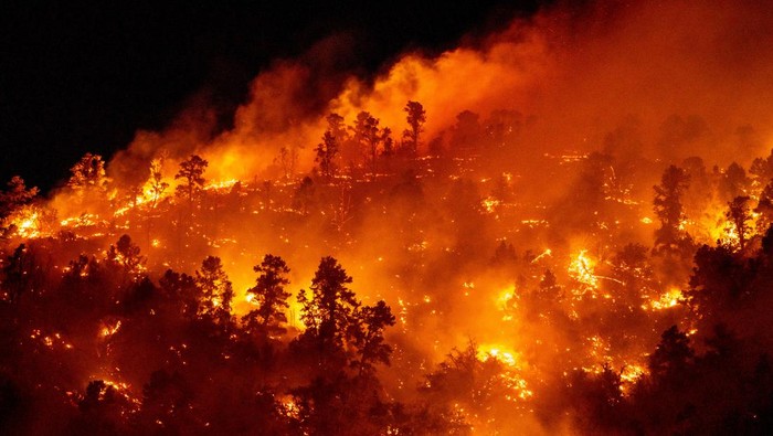 Residents watch part of the Sheep Fire wildfire burn through a forest on a hillside near their homes in Wrightwood, California, U.S. June 11, 2022. Picture taken June 11, 2022.  REUTERS/Kyle Grillot     TPX IMAGES OF THE DAY