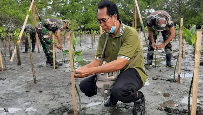 Tanam Bakau Ganang Rindarko - General Manager QNET Indonesia (kanan), Kol. Inf Dodi Triyo Hadi - Komandan Kodim (Dandim) 1611 Badung melakukan penanaman bakau di Kawasan Hutan Raya Ngurah Rai Bali, Senin (13/6).