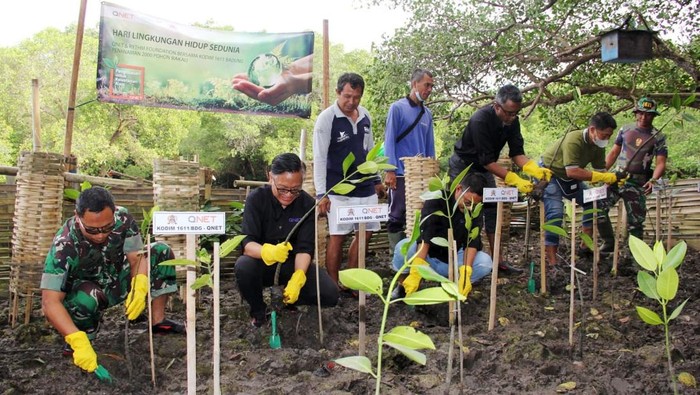 Tanam Bakau Ganang Rindarko - General Manager QNET Indonesia (kanan), Kol. Inf Dodi Triyo Hadi - Komandan Kodim (Dandim) 1611 Badung melakukan penanaman bakau di Kawasan Hutan Raya Ngurah Rai Bali, Senin (13/6).