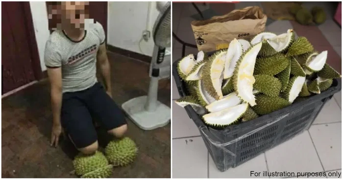 Toko Online Ini Jual Kulit Durian Tajam Buat Alat Para Istri Hukum Suami