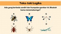 Di antara serangga berikut, ada serangga yang beda kategori dari lainnya. (Foto: DetikHealth)