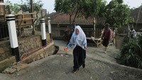 Meskipun begitu, tidak semua warga Kampung Ciburuy adalah manusia albino. Manusia albino di sana juga tidak semua lahir dari orang tua yang albino.