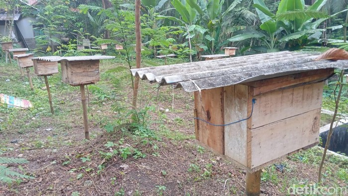 Boks peti lebah madu di Cijulang, Pangandaran