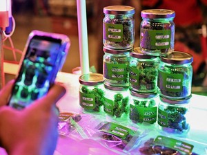 Ketidakpastian Hukum Redupkan Bisnis Ganja di Thailand
