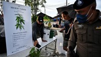 Diperkirakan ada sekitar 3.000 warga yang hadir menikmati festival tersebut. Festival ini berada dalam pengawasan polisi. Mereka memantau jalannya acara sembari penasaran. Sekali lagi, tak ada yang ditangkap di sana.