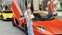 Ayu Thalia berprofesi sebagai sales mobil mewah di kawasan Pluit, Jakarta Utara. Dari profesinya inilah, ia mengenal Nicholas Sean yang dituduh Ayu melakukan penganiayaan terhadap dirinya.
