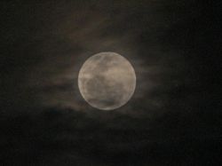 Lihat Lagi Penampakan Bulan Purnama Stroberi di Langit Depok