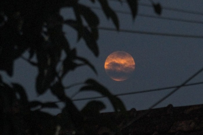Fenomena Bulan Purnama Stroberi terlihat di langit Depok, Jawa Barat, malam tadi. Tak sempat melihat penampakannya? Nih ada fotonya.