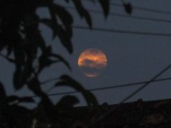 Lihat Lagi Penampakan Bulan Purnama Stroberi di Langit Depok