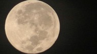 Lihat Lagi Penampakan Bulan Purnama Stroberi di Langit Depok