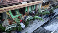 Masyarakat Suku Tengger membuat ongkek di Desa Ngadisari, Kecamatan Sukapura, Probolinggo, Jawa Timur.