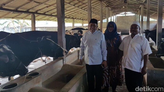 pmk di pasuruan