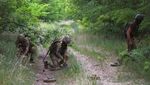 Tentara Ukraina Tebar Ranjau Anti-tank di Hutan, Ini Foto-fotonya