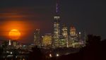 Purnama Stroberi di Langit New York Bikin Jatuh Hati