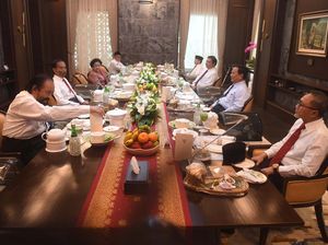 Rocky Singgung Penjilat, Lihat Lagi Foto Makan Siang Jokowi-Ketum Parpol